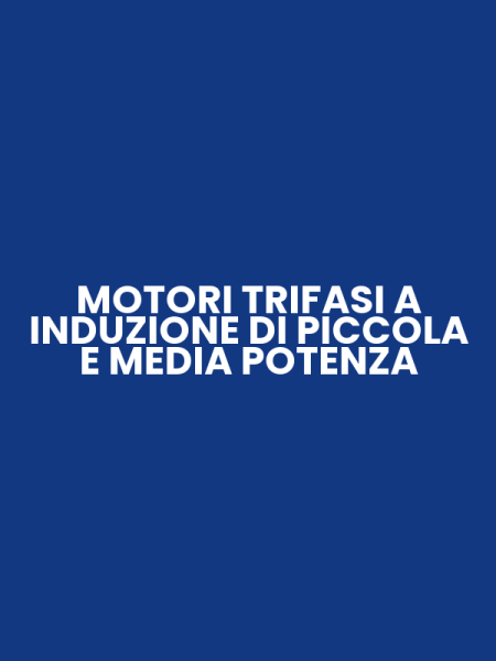 MOTORI TRIFASI A INDUZIONE DI PICCOLA E MEDIA POTENZA