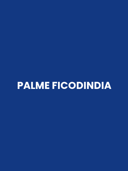 PALME FICODINDIA