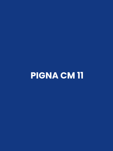 PIGNA CM 11