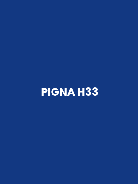 PIGNA H33