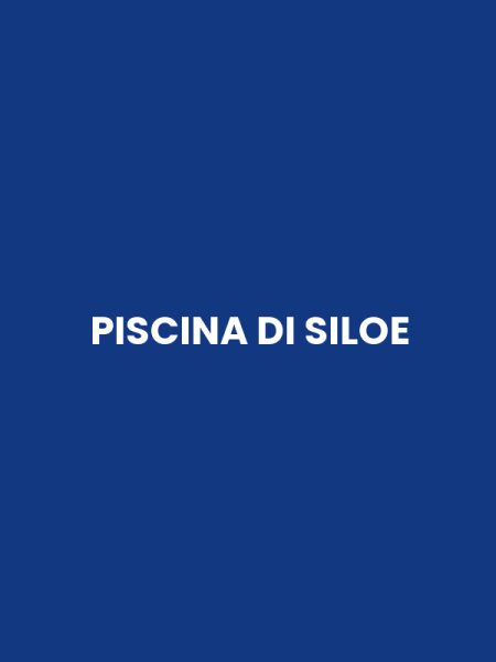 PISCINA DI SILOE