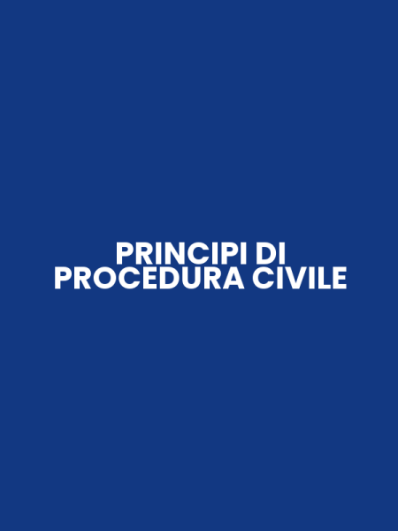 PRINCIPI DI PROCEDURA CIVILE