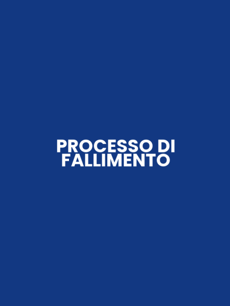 PROCESSO DI FALLIMENTO
