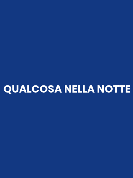 QUALCOSA NELLA NOTTE