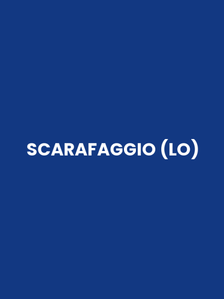 SCARAFAGGIO (LO)