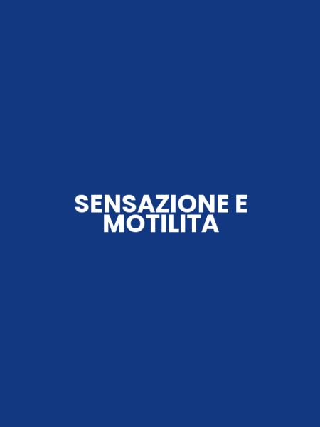 SENSAZIONE E MOTILITA
