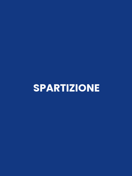 SPARTIZIONE