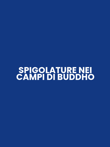 SPIGOLATURE NEI CAMPI DI BUDDHO
