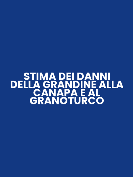 STIMA DEI DANNI DELLA GRANDINE ALLA CANAPA E AL GRANOTURCO