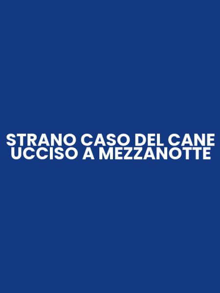 STRANO CASO DEL CANE UCCISO A MEZZANOTTE