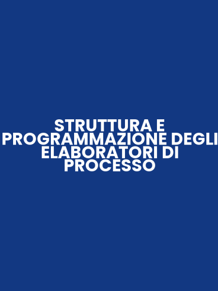 STRUTTURA E PROGRAMMAZIONE DEGLI ELABORATORI DI PROCESSO