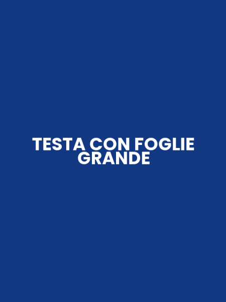 TESTA CON FOGLIE GRANDE