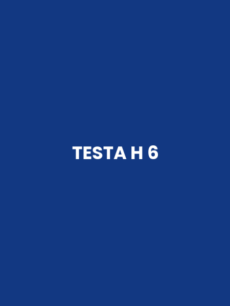 TESTA H 6