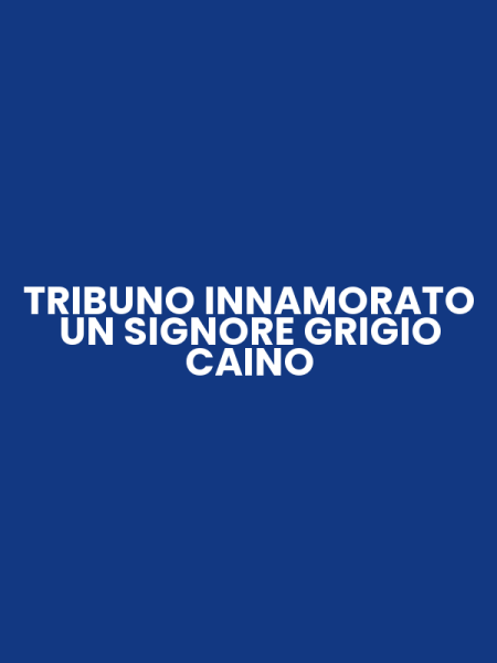 TRIBUNO INNAMORATO UN SIGNORE GRIGIO CAINO