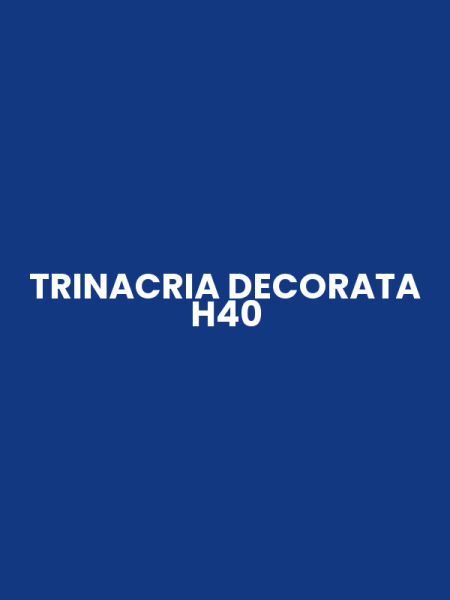 TRINACRIA DECORATA H40