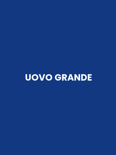 UOVO GRANDE