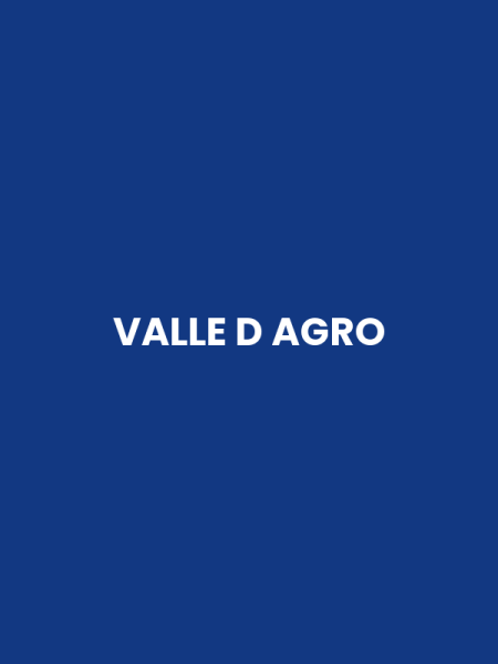 VALLE D AGRO