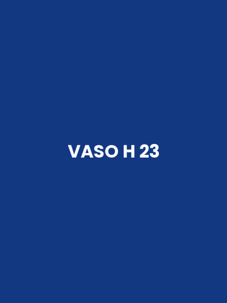 VASO H 23