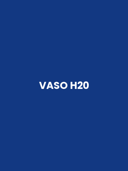 VASO H20