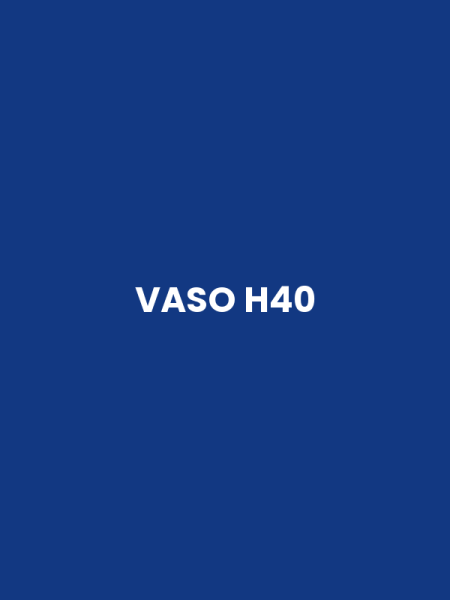 VASO H40
