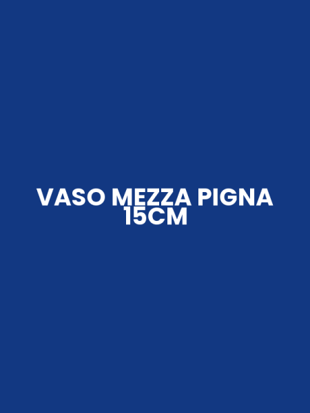 VASO MEZZA PIGNA 15CM