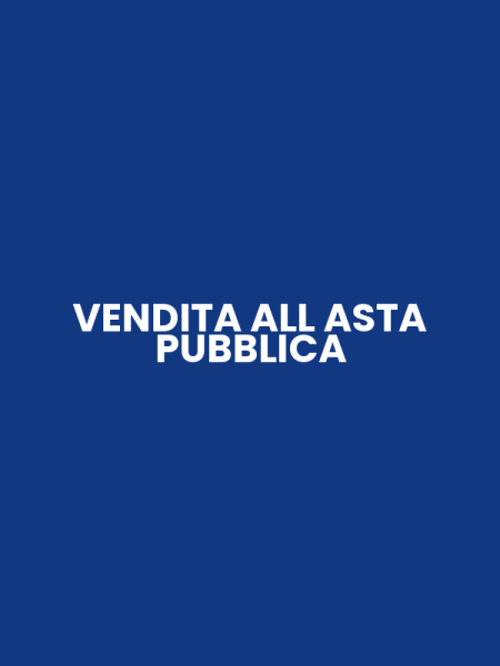 VENDITA ALL ASTA PUBBLICA