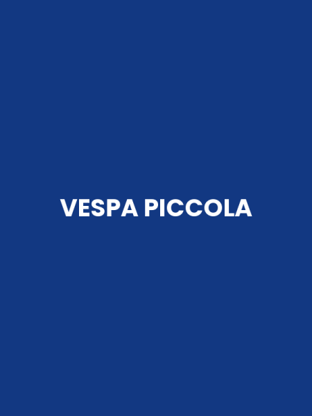 VESPA PICCOLA