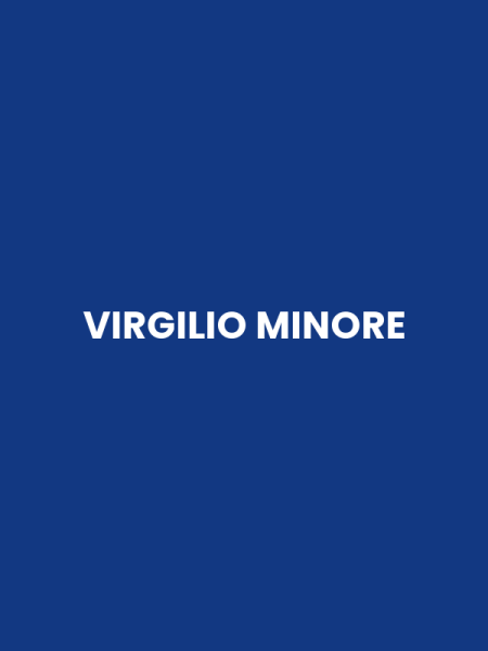 VIRGILIO MINORE