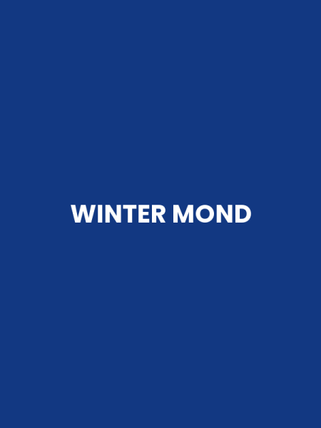 WINTER MOND
