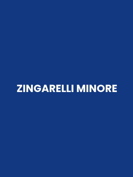 ZINGARELLI MINORE